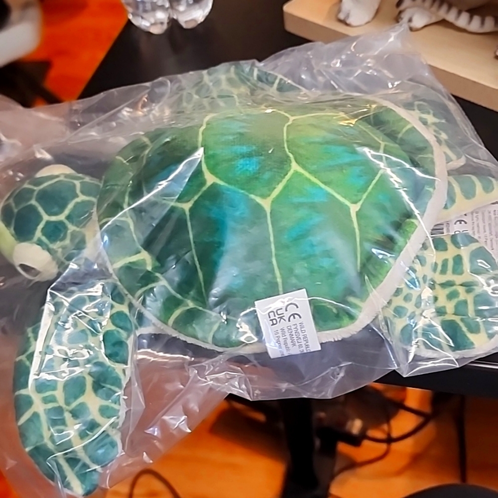 Mini sea turtle
